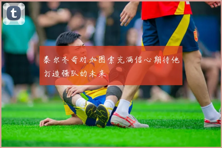 泰尔齐奇对加图索充满信心期待他打造强队的未来